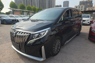 广汽传祺 传祺M8 2021款 大师系列 390T 至尊版