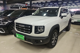 哈弗大狗 2022款 1.5T DCT两驱边牧版