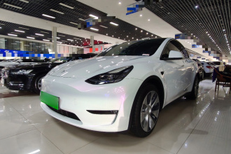 特斯拉 Model Y 2021款 长续航全轮驱动版 3D7