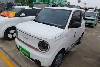 吉利银河 2024款 熊猫mini 200km 耐力熊