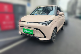 凯翼拾月 2023款 301km 追风版