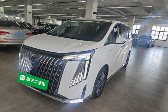 广汽传祺 传祺M8 2024款 大师系列 400T 尊贵版