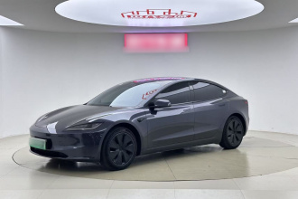 特斯拉 Model 3 2023款 后轮驱动版