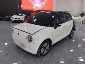 欧拉黑猫 2019款 310km 灵趣版