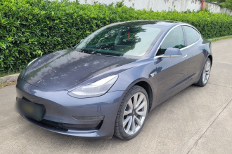 特斯拉 Model 3 2020款 改款 长续航后轮驱动版
