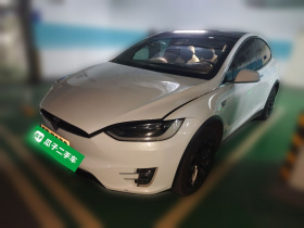 特斯拉 2017款 Model X 100D 长续航版