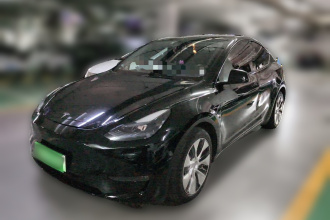 特斯拉 Model Y 2021款 长续航全轮驱动版
