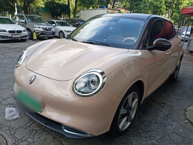 欧拉好猫 2021款 400km标准续航 雅典娜版 三元锂