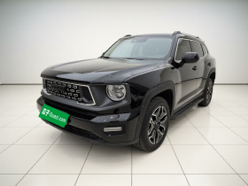 哈弗大狗 PLUS 新能源 2023款 DHT-PHEV 105km 潮电版Plus