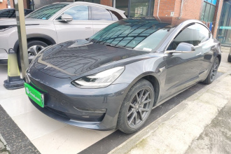 特斯拉 Model 3(进口) 2019款 长续航后驱版