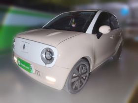 欧拉黑猫 2021款 351km 标准型