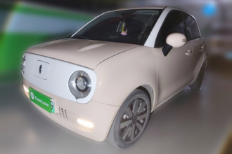 欧拉黑猫 2021款 351km 标准型