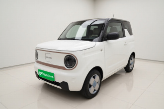 吉利银河 2024款 熊猫mini 200km 耐力熊