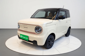 吉利银河 2023款 熊猫mini 200km 耐力熊