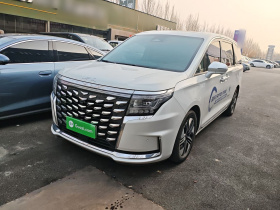 江淮瑞风 瑞风RF8 PHEV 2024款 鸿蒙版 1.5T 150KM 旗舰型 磷酸铁锂