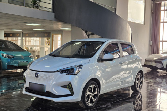 长安欧尚 奔奔E-Star 2020款 心动版 三元锂