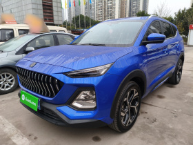 思皓X8 2021款 300T DCT豪华智联版 7座