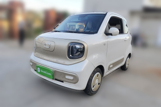 奔腾小马 2024款 170km 活力马