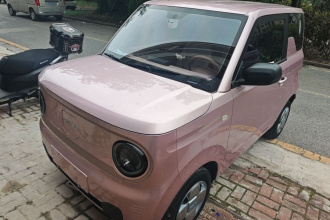 吉利银河 2023款 熊猫mini 200km 耐力熊