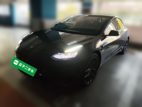 特斯拉 Model 3 2021款 改款二 Performance高性能全轮驱动版