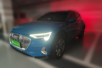 奥迪e-tron(进口) 2019款 55 quattro 全球限量版Edition 1