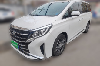 广汽传祺 传祺M8 2023款 领秀系列 390T 尊贵版