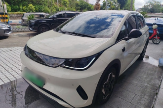 比亚迪 海豚 2025款 智驾版 420km 自由版