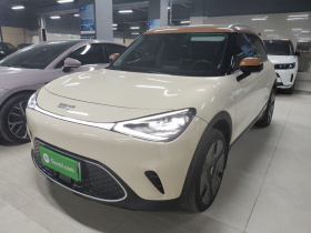 smart精灵#1 2022款 Premium版