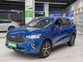 哈弗F7 2020款 1.5T 两驱i潮