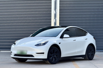 特斯拉 Model Y 2023款 后轮驱动版