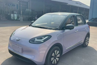 五菱汽车 五菱缤果 2025款 333km 灵犀尊享款