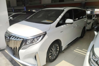 广汽传祺 传祺M8 2021款 大师系列 390T 至尊版