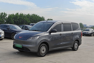 五菱汽车 五菱宏光新能源 2024款 纯电版 300KM 标准型
