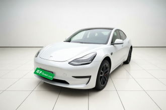 特斯拉 Model 3(进口) 2019款 标准续航后驱升级版