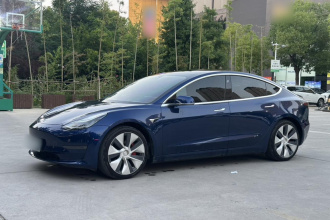 特斯拉 Model 3(进口) 2019款 Performance高性能全轮驱动版
