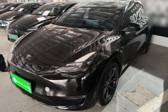 特斯拉 Model Y 2023款 长续航全轮驱动版