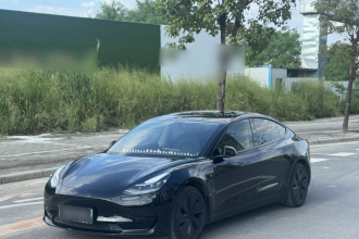特斯拉 Model 3 2020款 标准续航后驱升级版