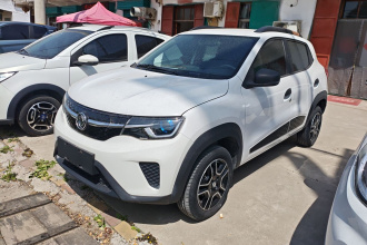 东风纳米EX1 2023款 PRO 轻风版闪电型