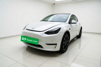 特斯拉 Model Y 2022款 Performance高性能全轮驱动版