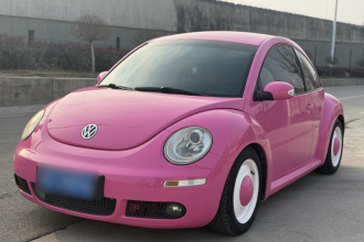 大众 甲壳虫 2010款 1.6 AT