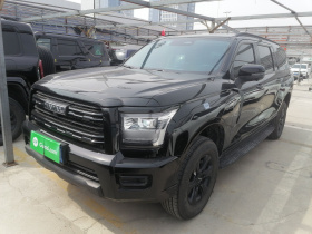 哈弗H5 2025款 2.0T自动四驱领航版 柴油