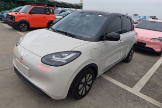 五菱汽车 五菱缤果 2023款 333km 灵犀互联款