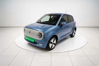 欧拉黑猫 2021款 301km 基础型