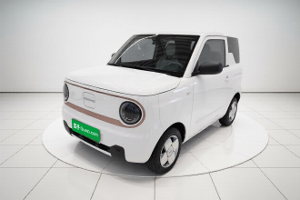 吉利银河 2024款 熊猫mini 200km 耐力熊
