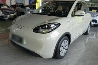 五菱汽车 五菱缤果 2023款 333km 快享款