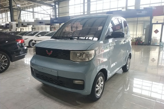 五菱汽车 宏光MINIEV 2020款 自在款 磷酸铁锂