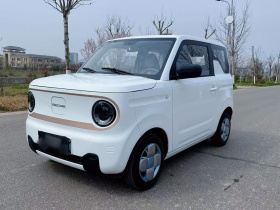 吉利银河 2024款 熊猫mini 200km 耐力熊