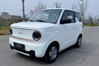 吉利银河 2024款 熊猫mini 200km 耐力熊