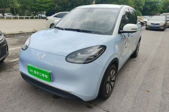 五菱汽车 五菱缤果 2023款 333km 灵犀互联+款