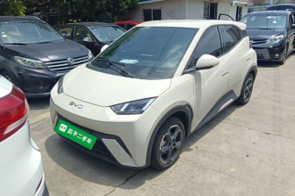 比亚迪 海鸥 2024款 荣耀版 305km 自由版